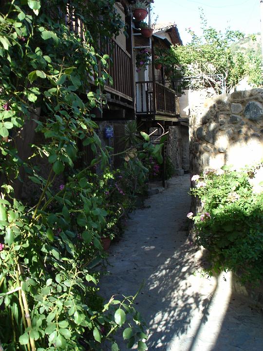 DSC02946 - Troodos Kakopetria